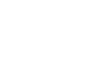 Assiniboine Market Motors